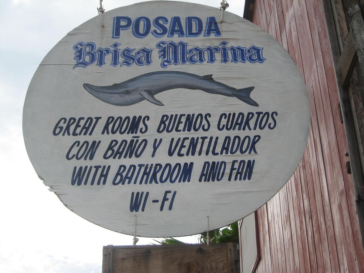Posada Brisa Marina Hostel Zipolite Εξωτερικό φωτογραφία